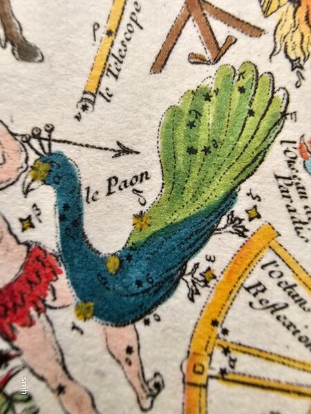 File:Pav Fortin1795.jpg