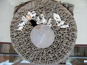 Stonesculpture Dikmandal cnc.png