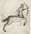 Vatican BAV Vat lat 3109 similar, no stars