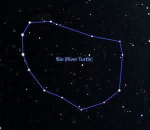 Bie in Stellarium