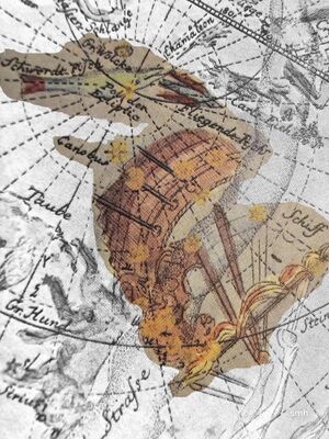 Dor+Vol+Arg Bode1772.jpg