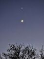 Venus and Moon at Dusk, 2025 (SMH)