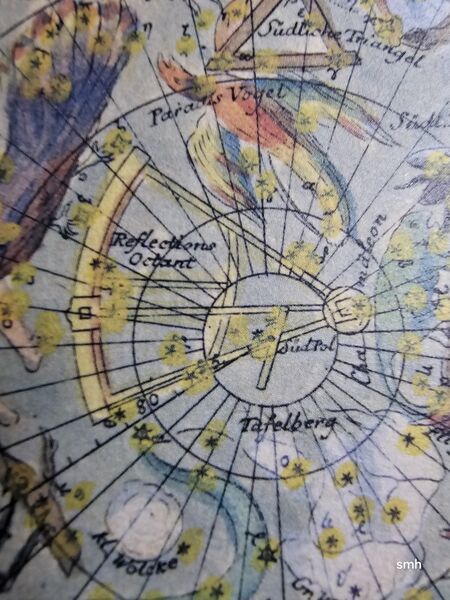 File:Oct Bode1782.jpg