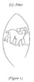 Thumbnail for version as of 05:41, 6 June 2026