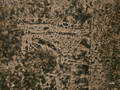 Thumbnail for version as of 14:40, 4 May 2026