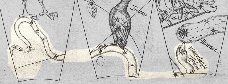 File:Plancius-hydrus hi.jpg