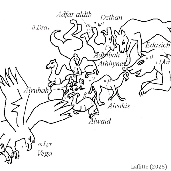 File:Camelmothers+baby RL.png