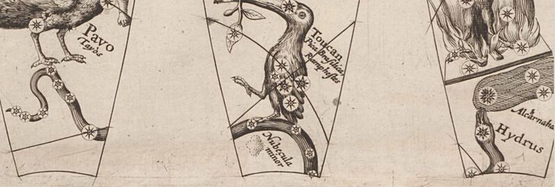 File:Hydrus Keere+Plancius1612.JPG