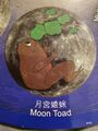 The Moon Toad, 金蟾 (Jin Chan).