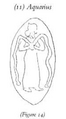 Thumbnail for version as of 19:10, 5 June 2026