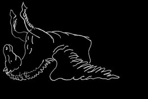 FarneseSMH2017 web 28.jpg