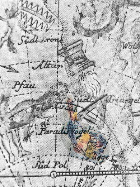 File:Apus Bode1782 hi.jpg