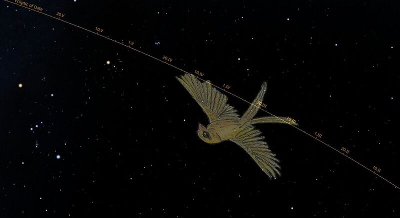File:Swallow bab stellarium.jpg
