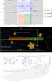 Thumbnail for version as of 13:01, 5 May 2026