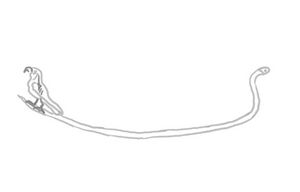 Hya DenderaCirc Louvre black inv.jpg