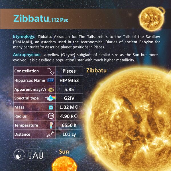 File:Zibbatu profileCard SadeghFaghanpour-IAU-WGSN.jpg