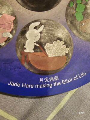 JadeHase smh2024.jpeg