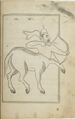 (al-Sufi, Kitāb suwar al-kawākib al-ṯābita) Paris BN Arabe 6528 India, 1643-44 n.b. – similar, foreleg raised, no arrow