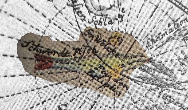 File:Dorado Bode1772.jpg