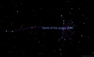 Spirit of the Awarra Palm.jpg