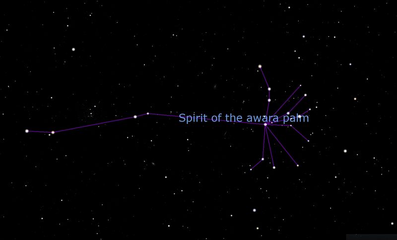 File:Spirit of the Awarra Palm.jpg