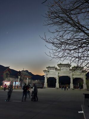 Venus 20241130 175300.jpg