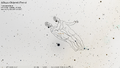 Thumbnail for version as of 08:34, 24 September 2026