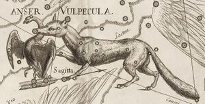 Vul Hevel detail.jpg