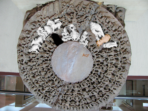 Stonesculpture Dikmandal aqr.png