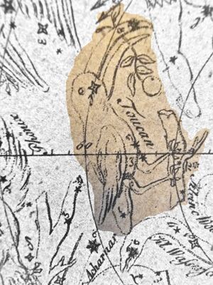 Toucan Lacaille Goldbach.jpg