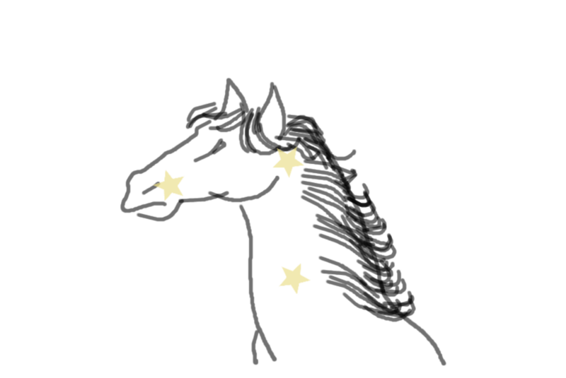 File:1 ashvini draw.png