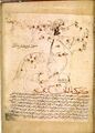 (al-Sufi, Kitāb suwar al-kawākib al-ṯābita) London BL Or 5323 1260-80; Maragha (?), NW Iran n.b. – similar, but leg not extended