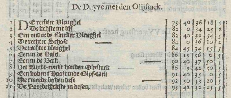 File:DeHoutman Duyve.JPG