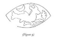 Thumbnail for version as of 05:40, 6 June 2026