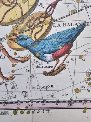 Solitaire Fortin1795.jpg