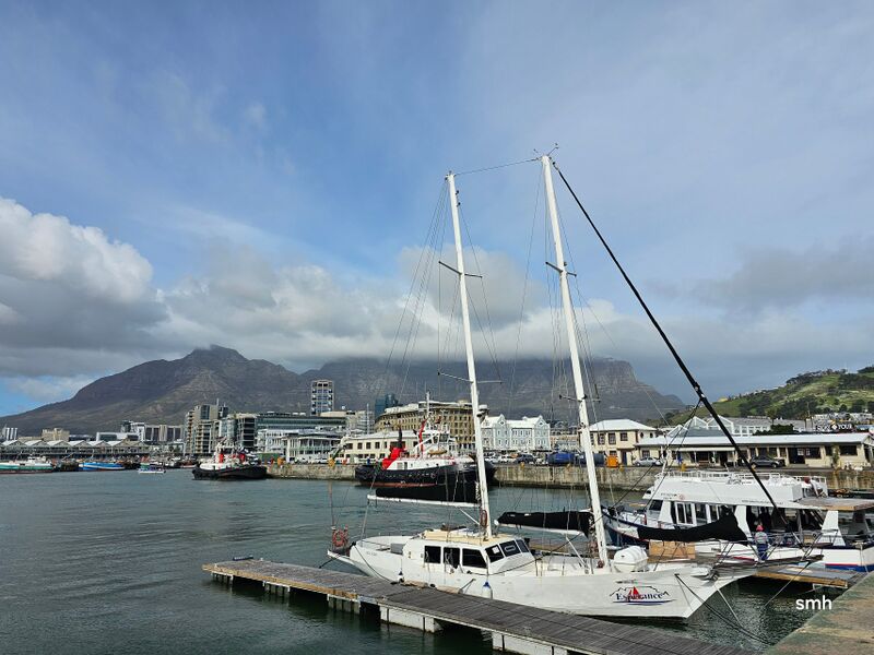 File:20240811 113709.jpg compressed.jpeg