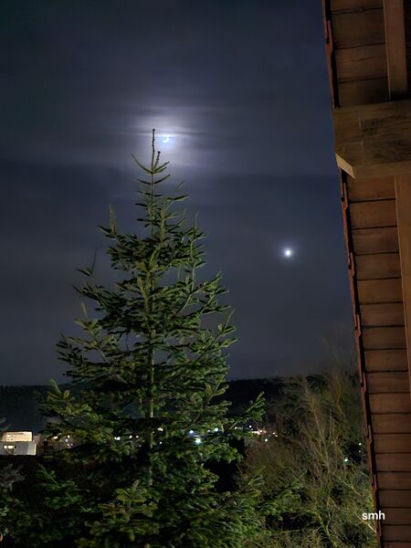 File:Moon-Venus 20250104 183713.jpg