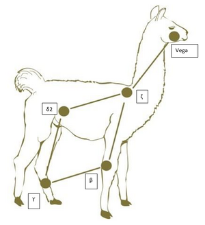 Llama SteveGullberg2026.png