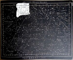 Pegasus Goldbach1799 hi friedrichsehre.jpg