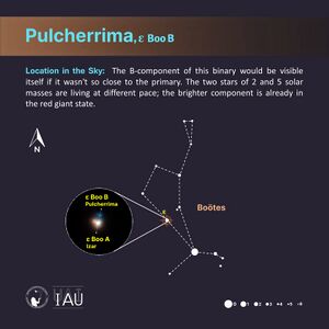 Pulcherrima stickfigure2 SadeghFaghanpour-IAU-WGSN.jpg
