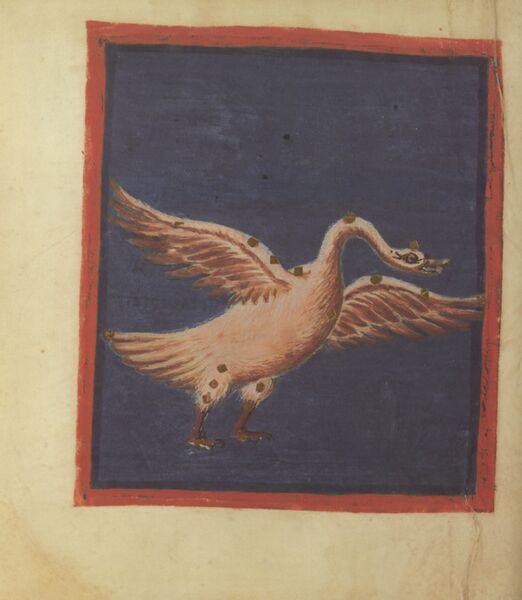 File:Aratea fol. 46v.jpg