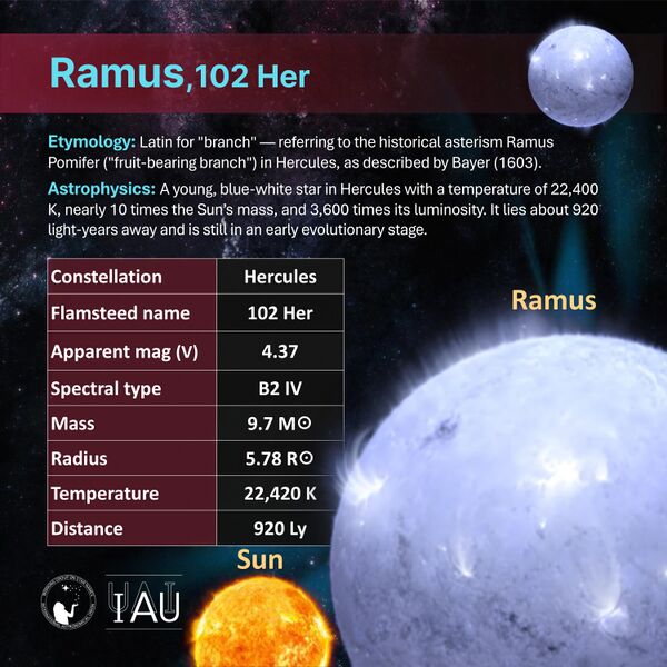 File:Ramus profileWGSN.jpg