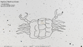 Thumbnail for version as of 08:31, 24 September 2026