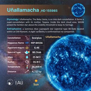 Uñallamacha profileCard SadeghFaghanpour-IAU.jpg