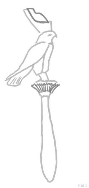Canopus dendera black inv.jpg