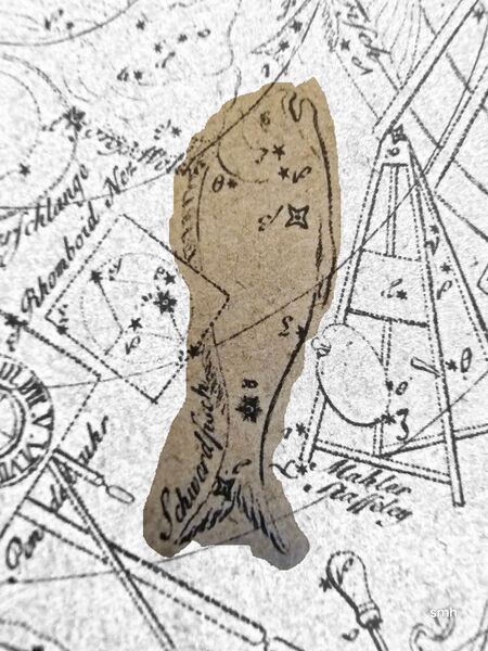 File:Dor Lacaille dtBeschr.jpg