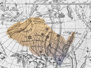 Dor+vol+arg Goldbach1799.jpg