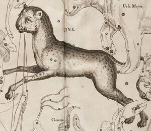 Lyn Hevel detail.jpg