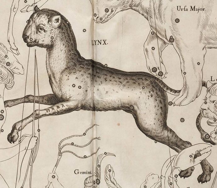 File:Lyn Hevel detail.jpg