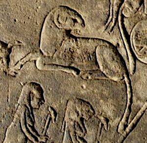Ari DenderaCirc Louvre.JPG